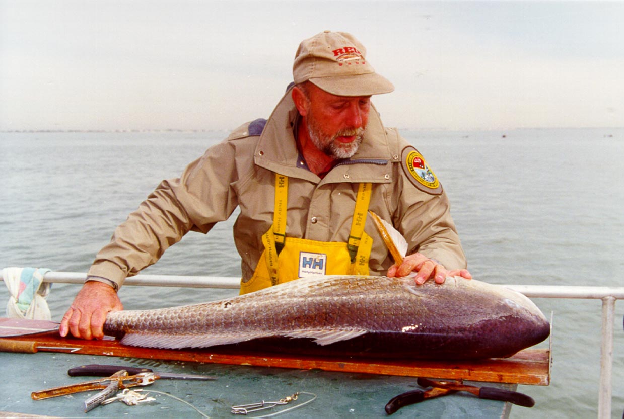 red drum photos