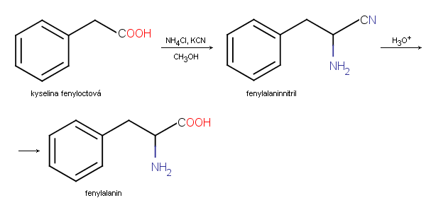 Strecker fenylalanin.PNG