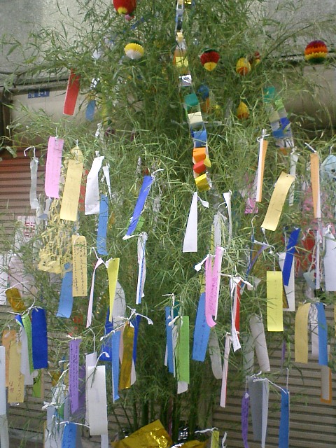 http://upload.wikimedia.org/wikipedia/commons/9/9d/Tanabata.jpg