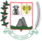 Coat of arms of Águia Branca