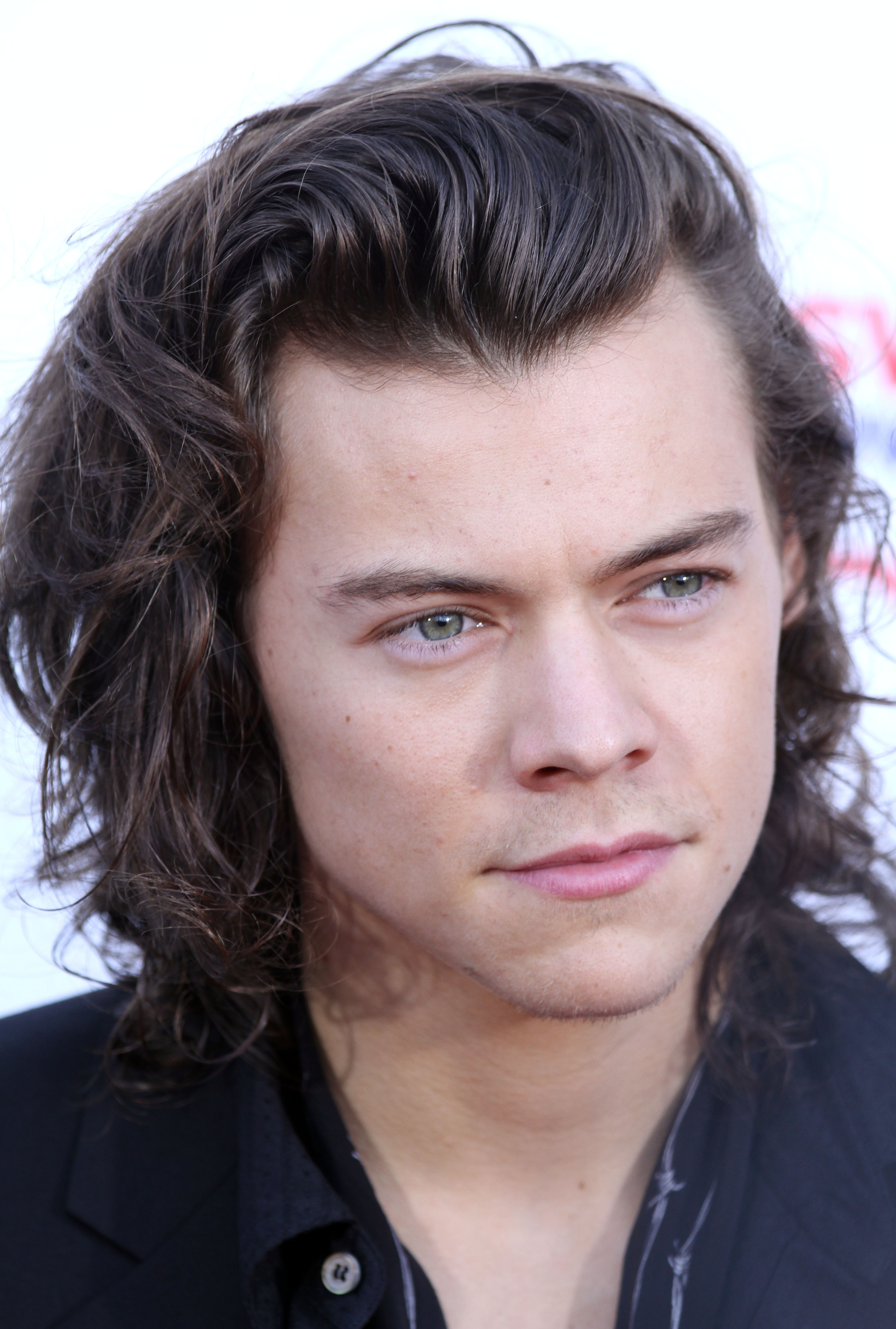 HARRY STYLES - Wikipedia, the free encyclopedia