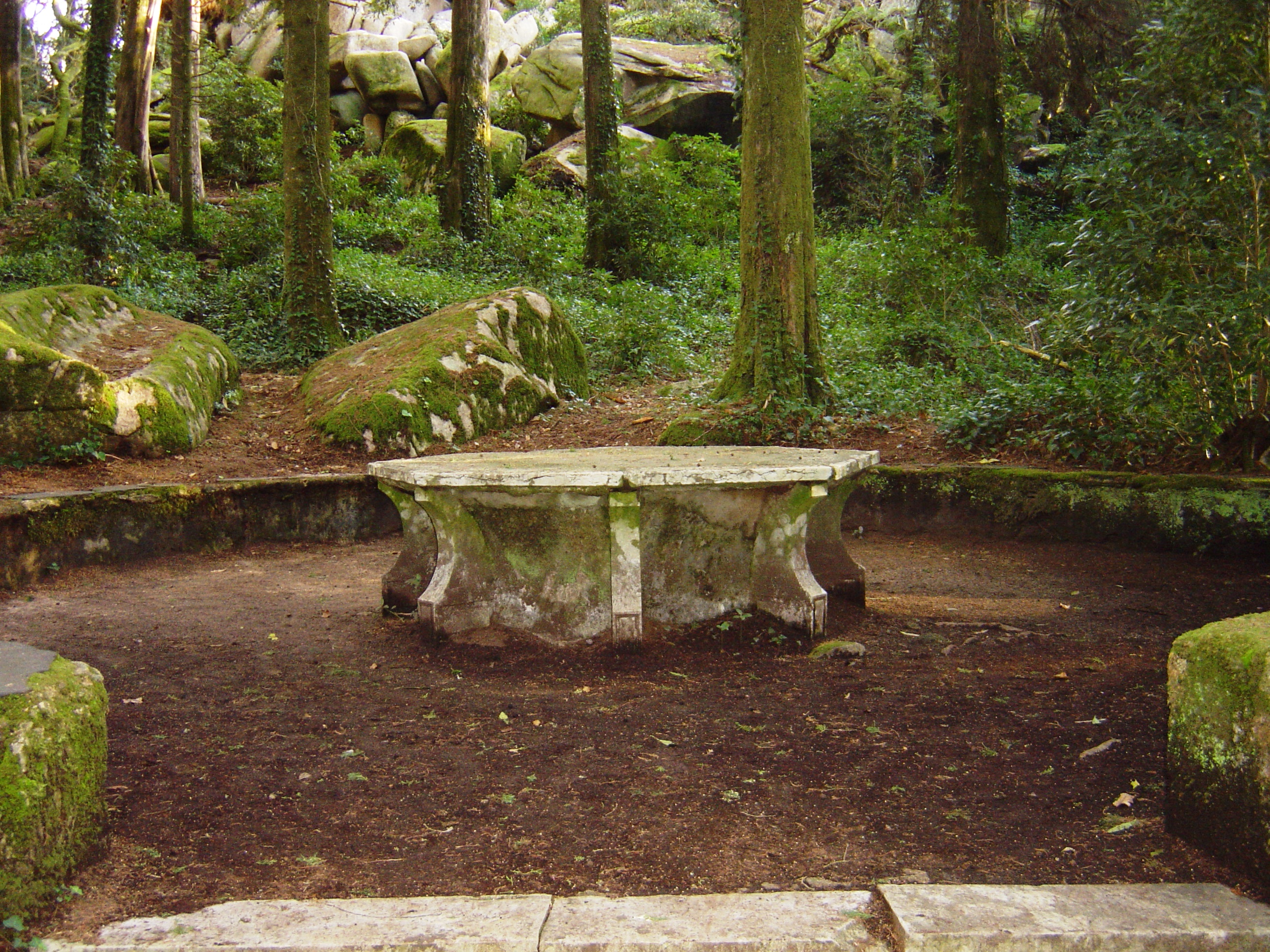 Table In Park