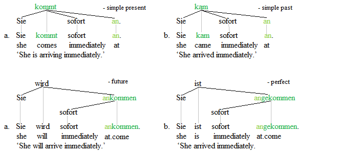 Separable verbs trees 1