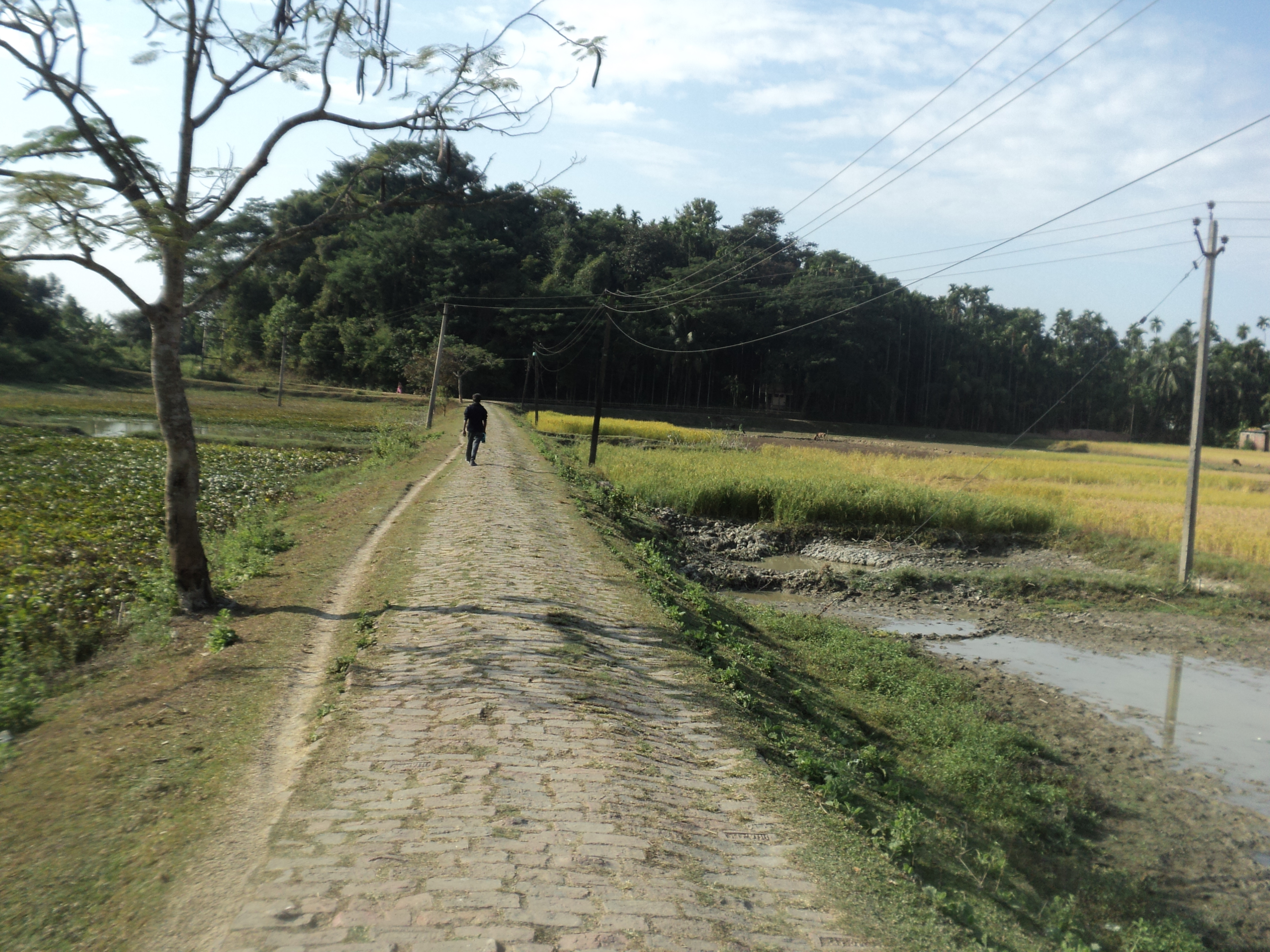 Karimganj District