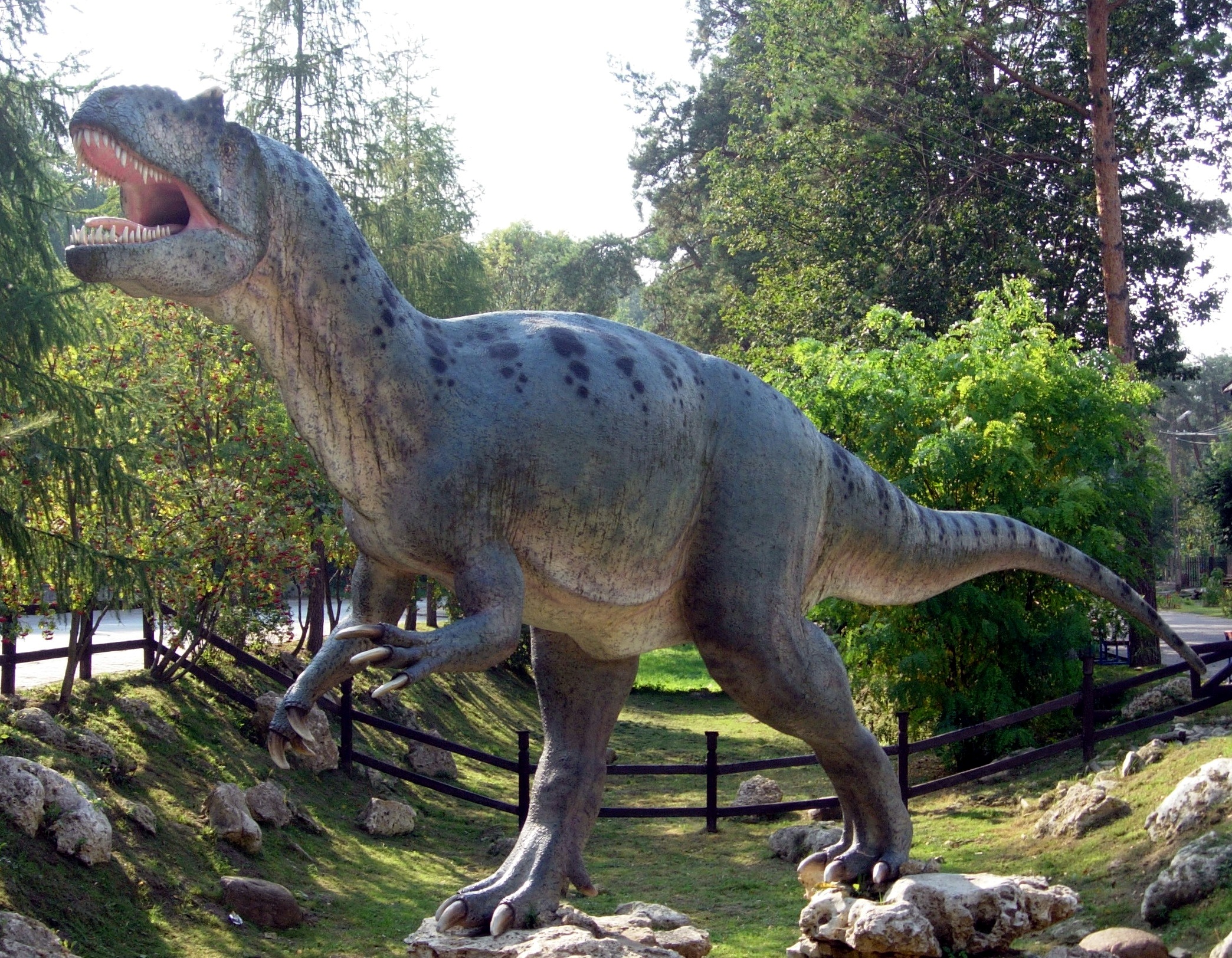 http://upload.wikimedia.org/wikipedia/commons/9/9f/Allosaurus_in_Baltow_20060916_1500.jpg