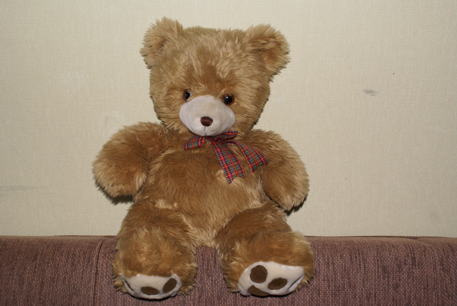 File:Teddy bear.jpg