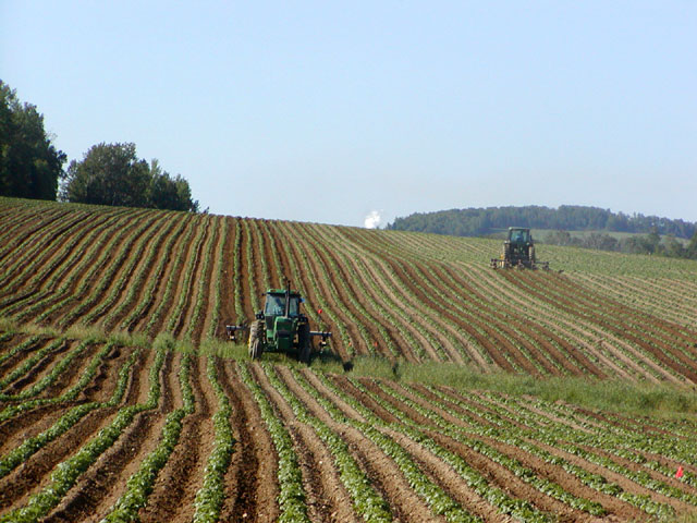 Asim Agriculture Farm