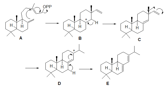 Biosíntesis del abietadieno