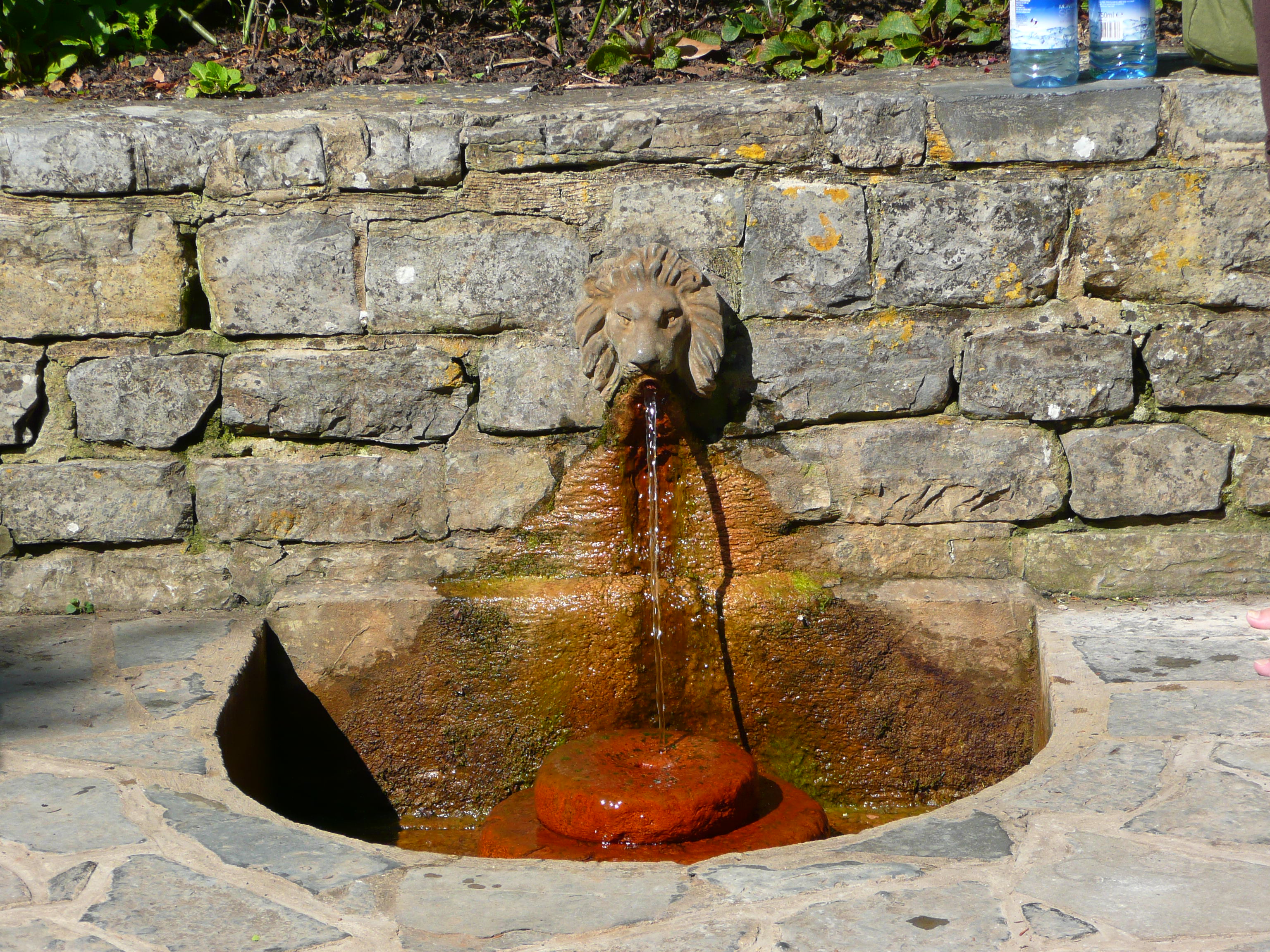 lions head fountain