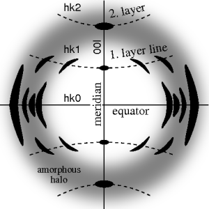 Ideal fiber diffraction pattern of a semi-crystalline material with amorphous halo and reflections on layer lines. High intensity is represented by dark color. The fiber axis is vertical FibDiffSketch.png