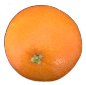 [Image: Orange-fruit-2.jpg]
