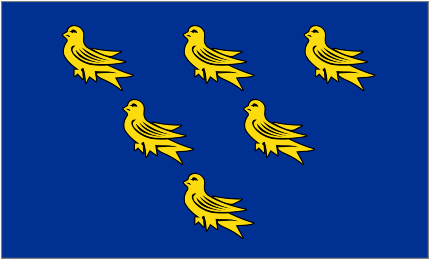 Flag of Sussex