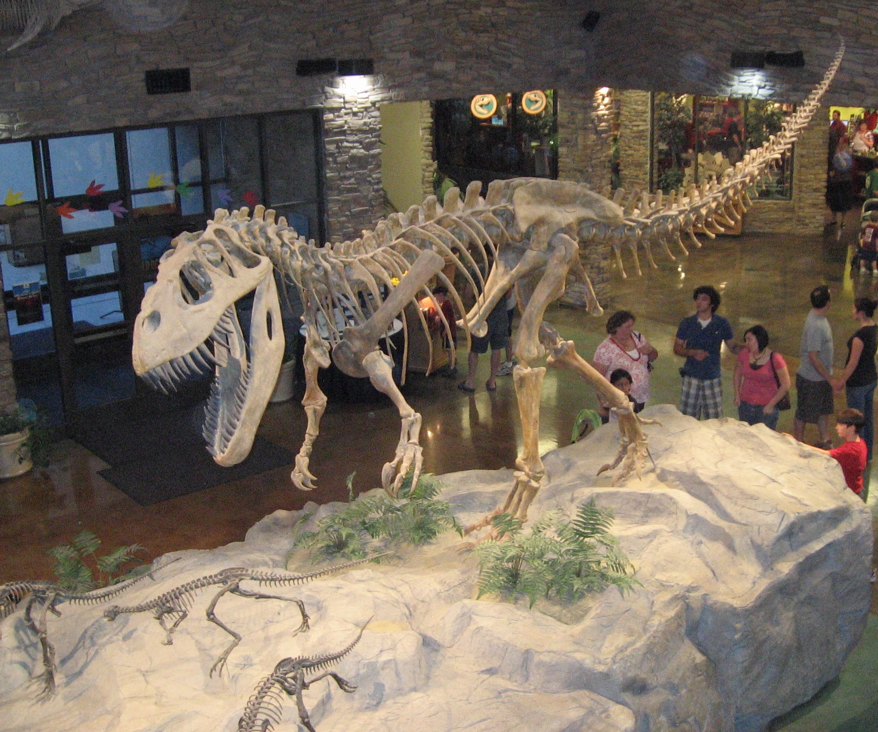 File:Museum AL dinosaur.jpg - Wikipedia