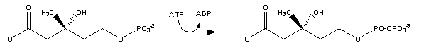 Resim:Cholesterol-Synthesis-Reaction4.png