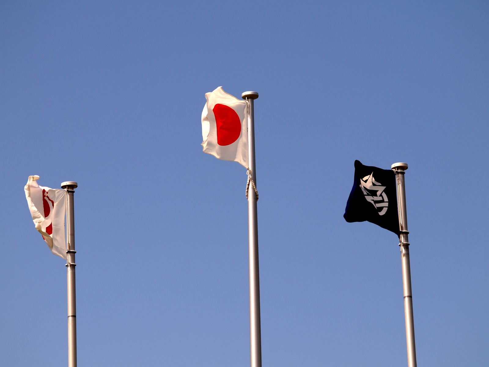 Flag Of Okinawa