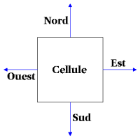 Cloisons d'une cellule