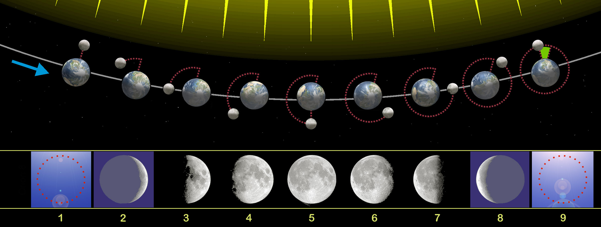 Gráfico de las fases lunares