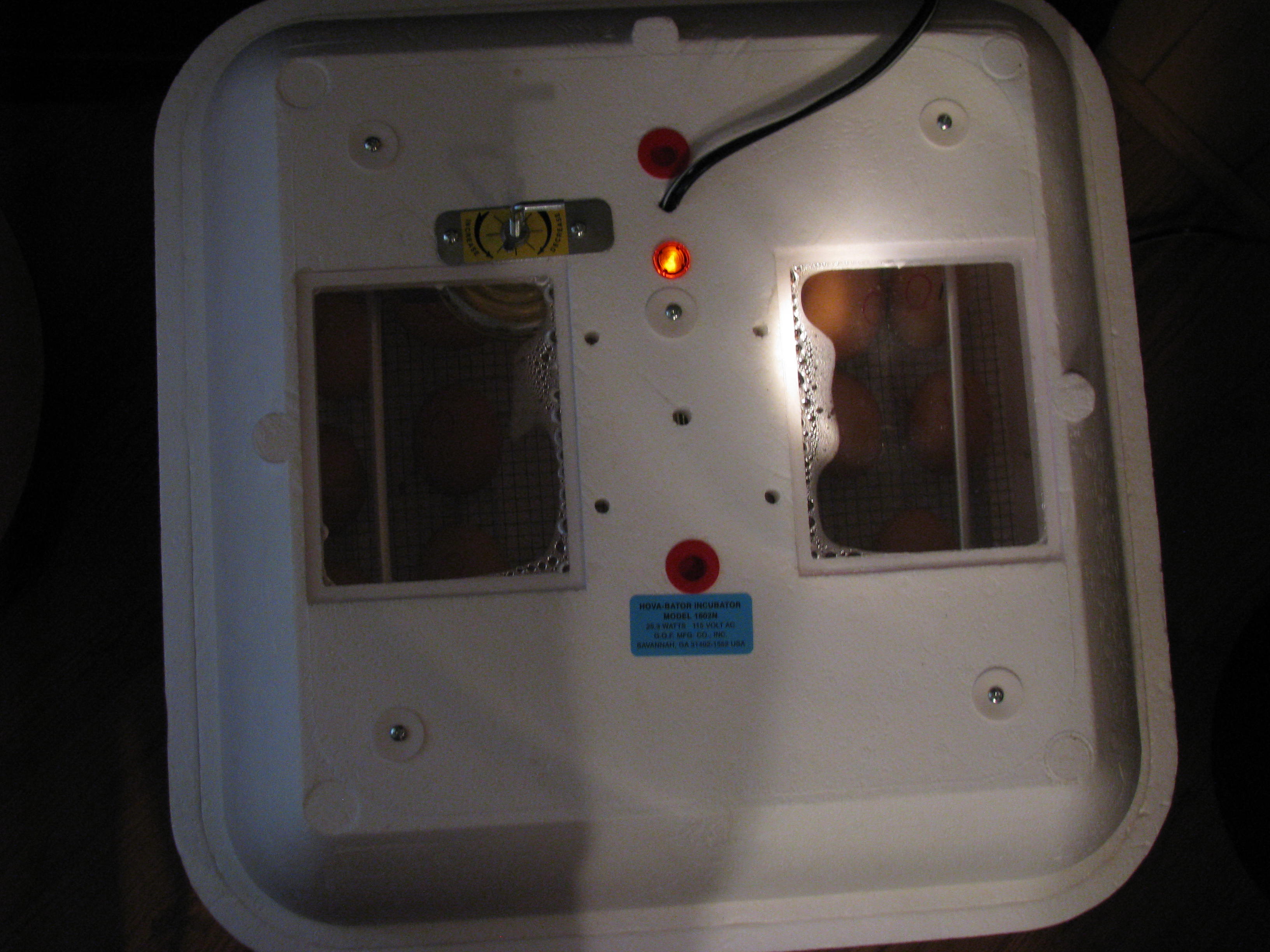 Description Small Chicken Egg Incubator overhead.jpg