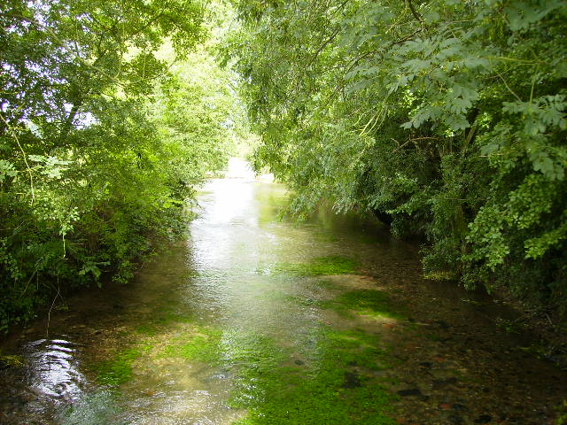 File:The pure clean spring water of Lowthorpe Beck - geograph.org.uk - 222624.jpg