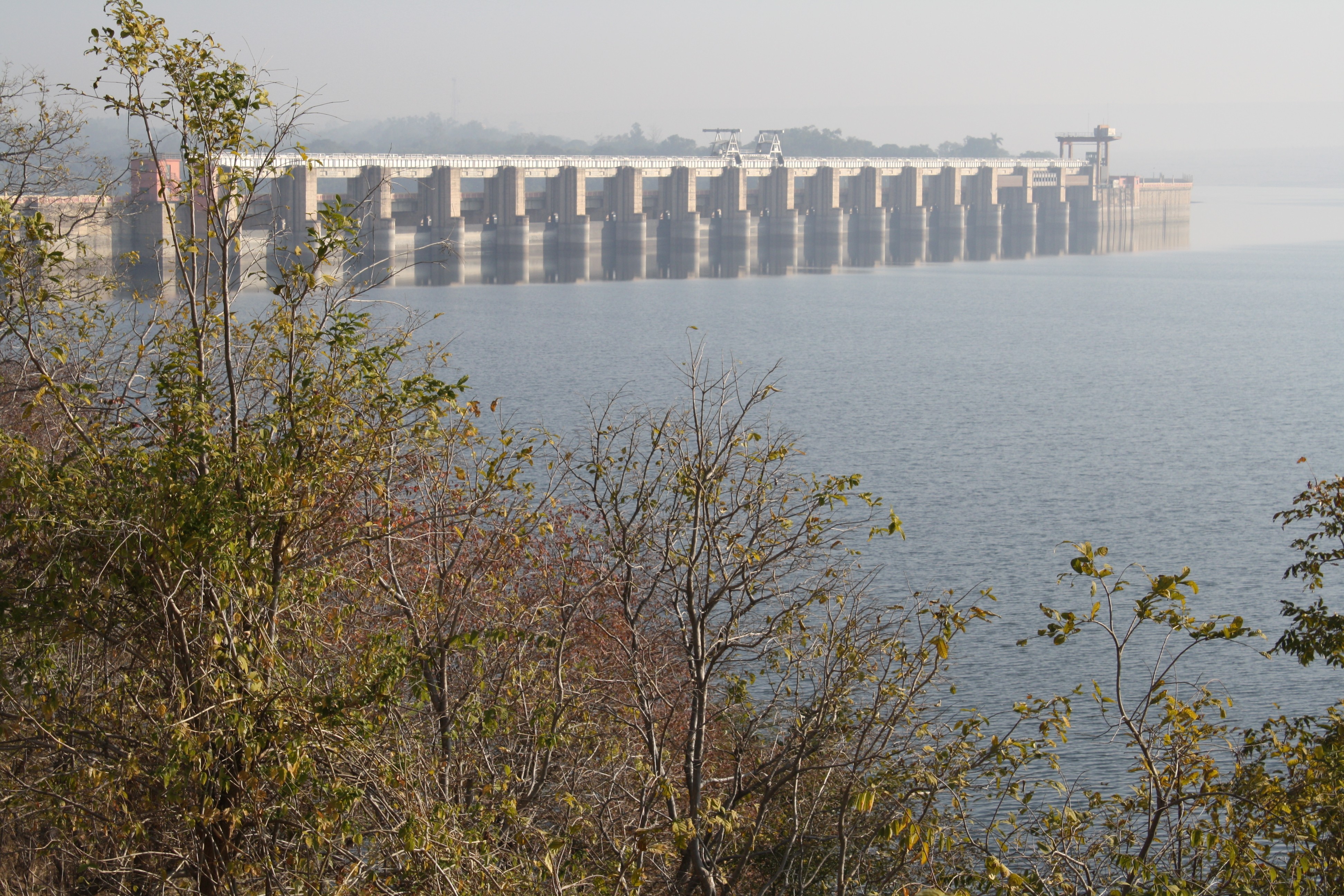 View of Ranapratap Dam from Upstream side.jpg