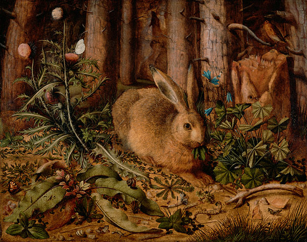Fichier:Hans Hoffmann Hare in the forest 1585.jpg