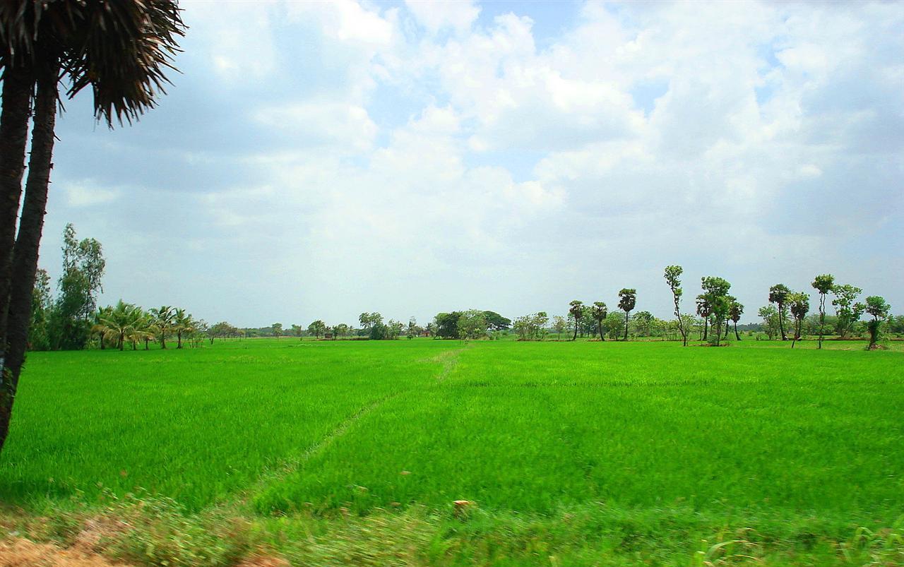 Kerala boobs photo