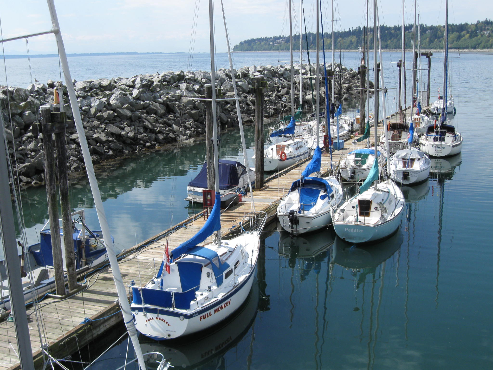 pier boats