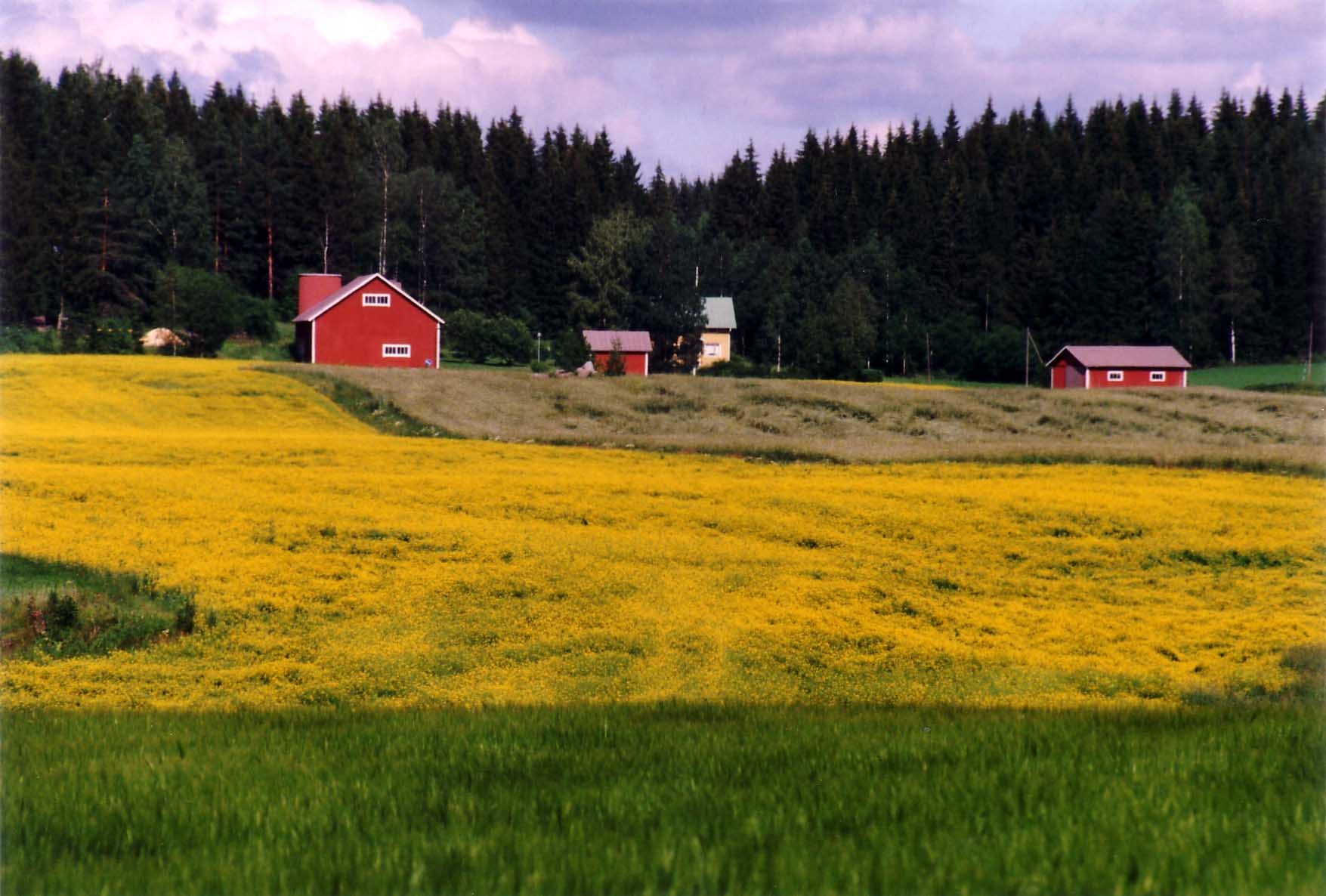 Rural Landscapes