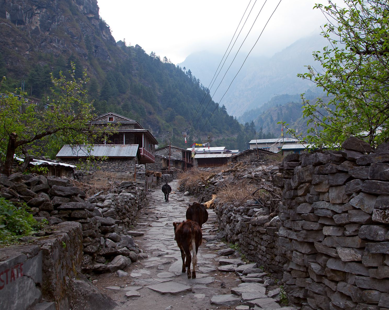 Nepali village