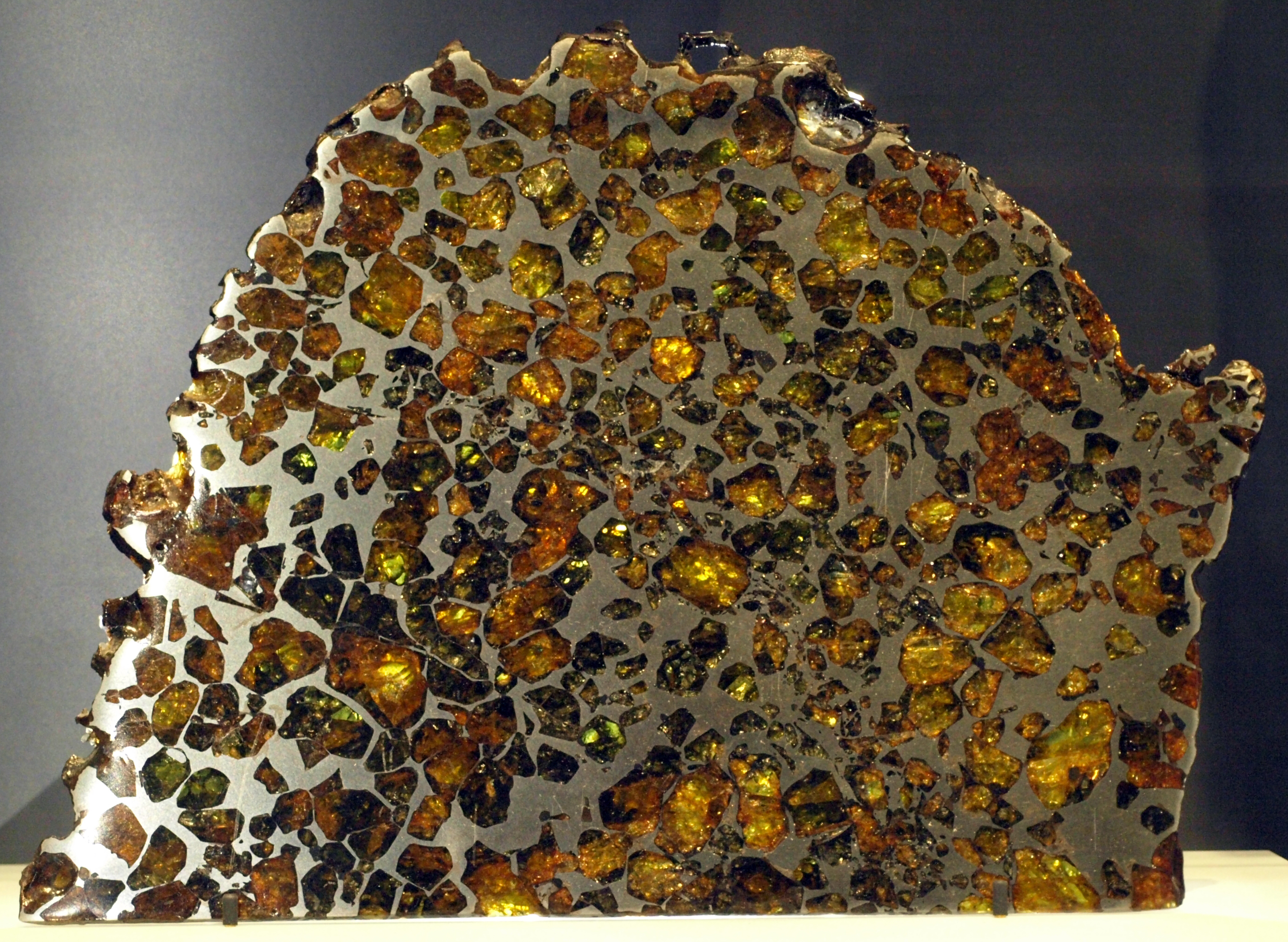 Esquel Pallasite meteorite