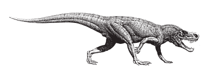 Krokodil, Rauisuchia Postosuchus