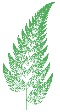 decorative graphic of a fern