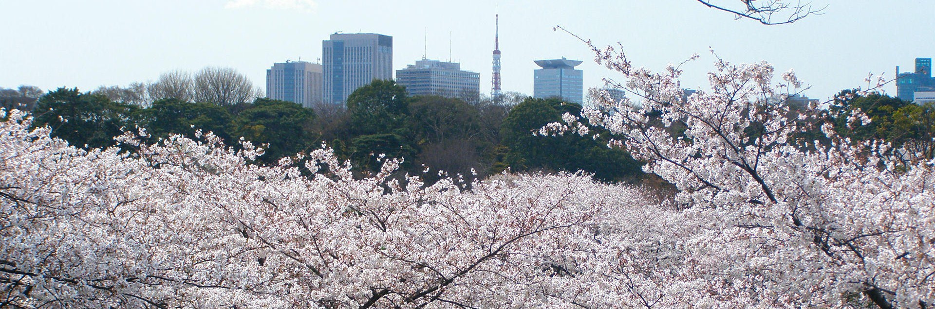 Tokio, en.wikipedia.org