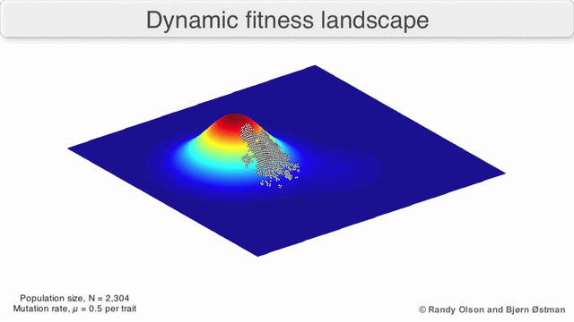 Dynamic Fitness Landscape