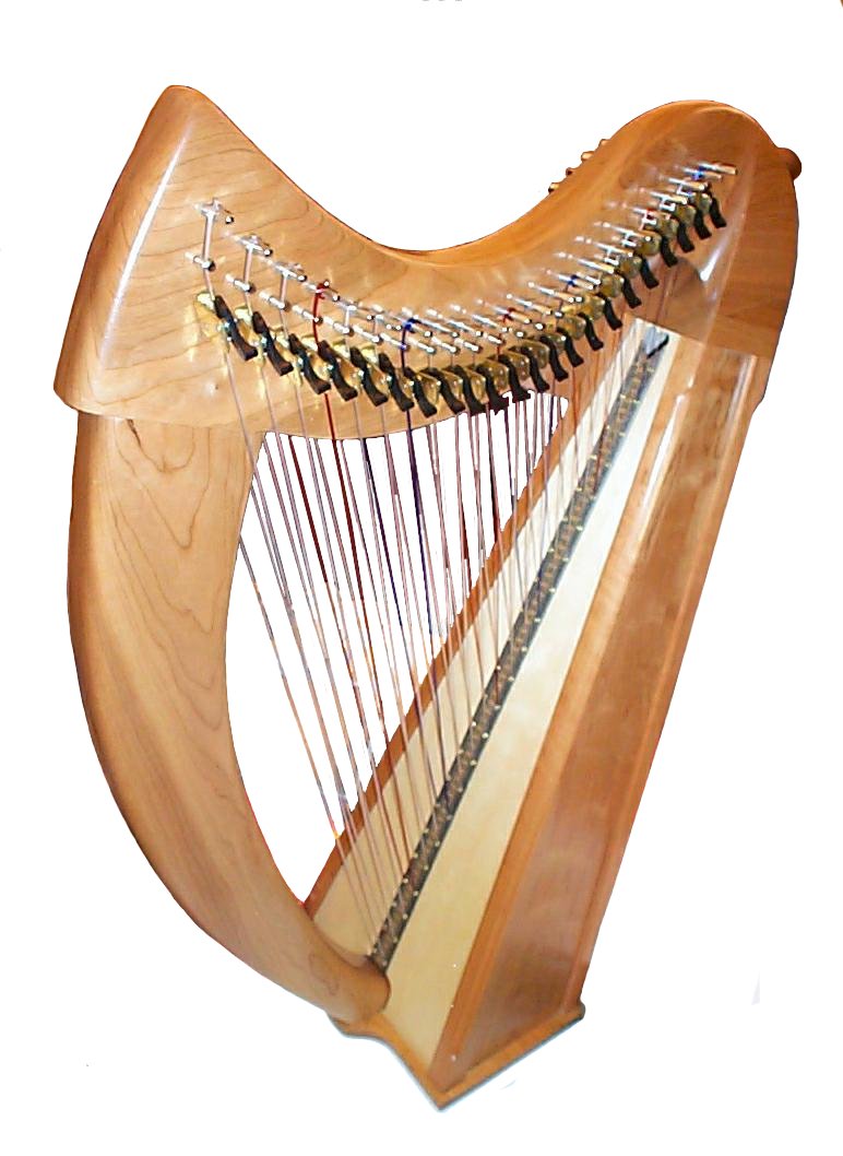 Double_harp.JPG