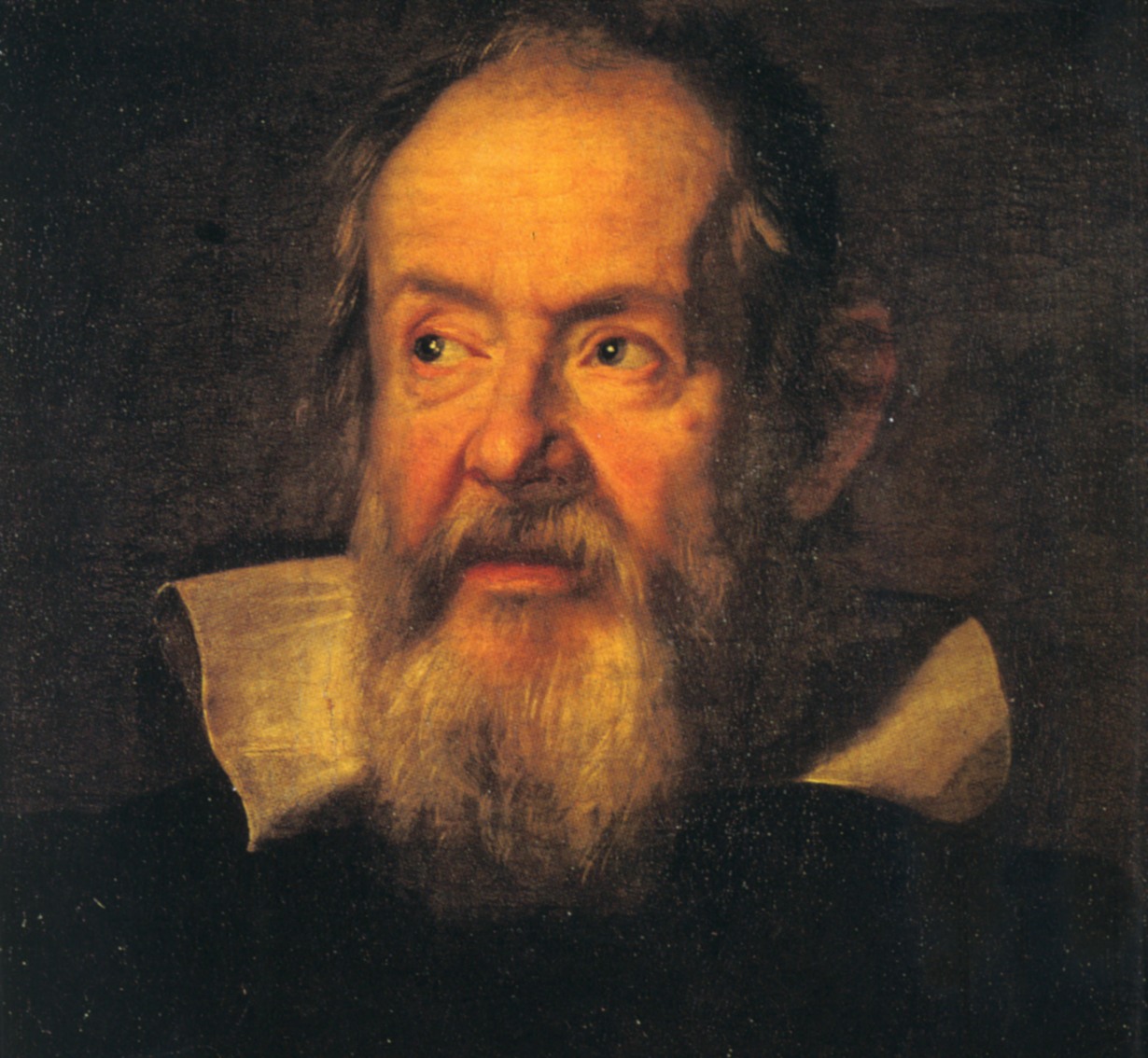 Galileo Portrait by Justus Sustermans