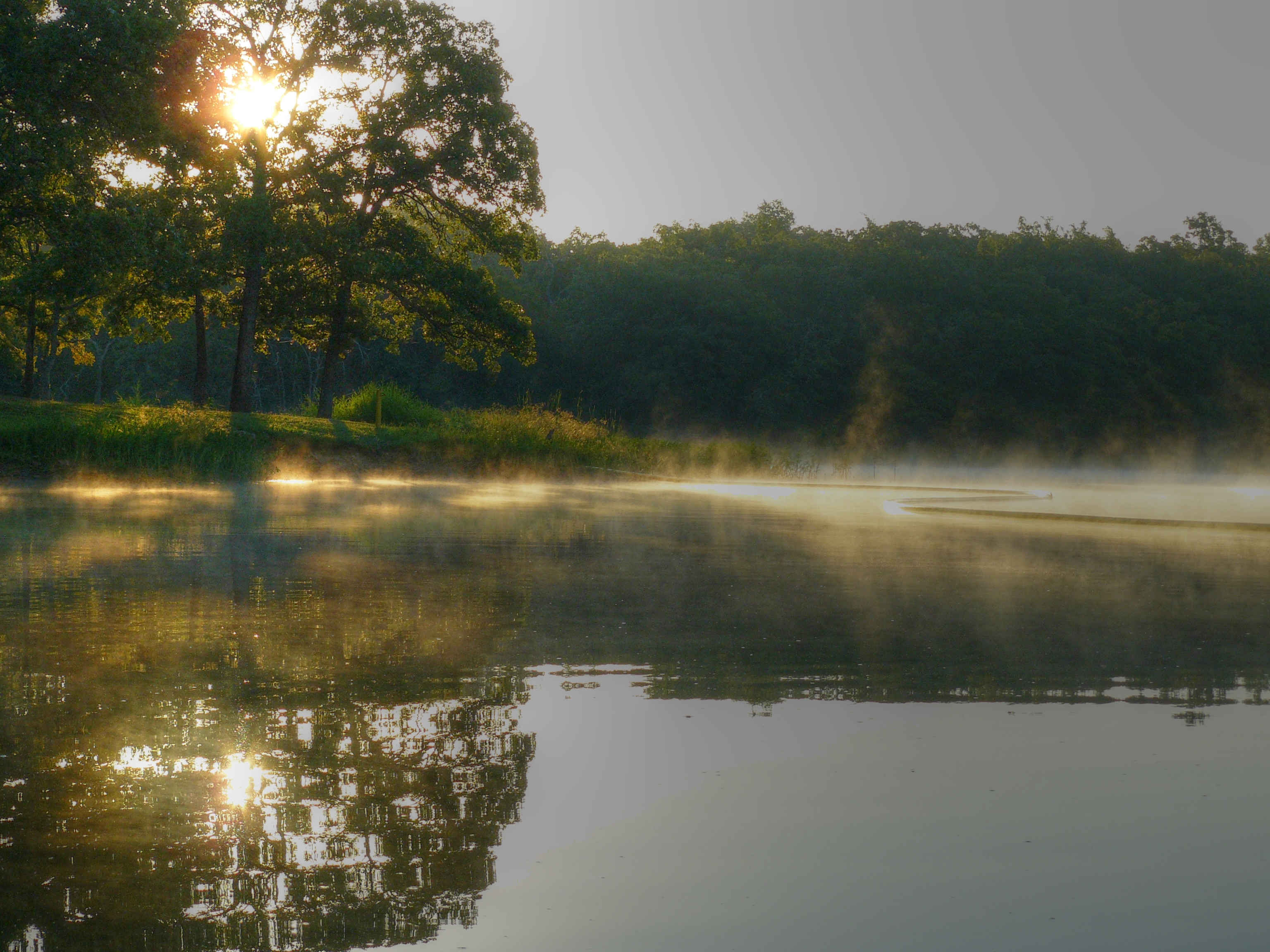 Okmulgee_State_Park_Good_Morning_Sunshine.jpg