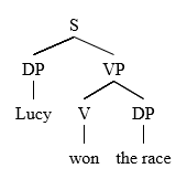 Simplified syntax tree for the sentence "Lucy won the race"