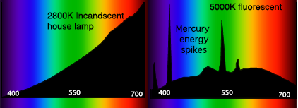 [Image: Spectral_Power_Distributions.png]