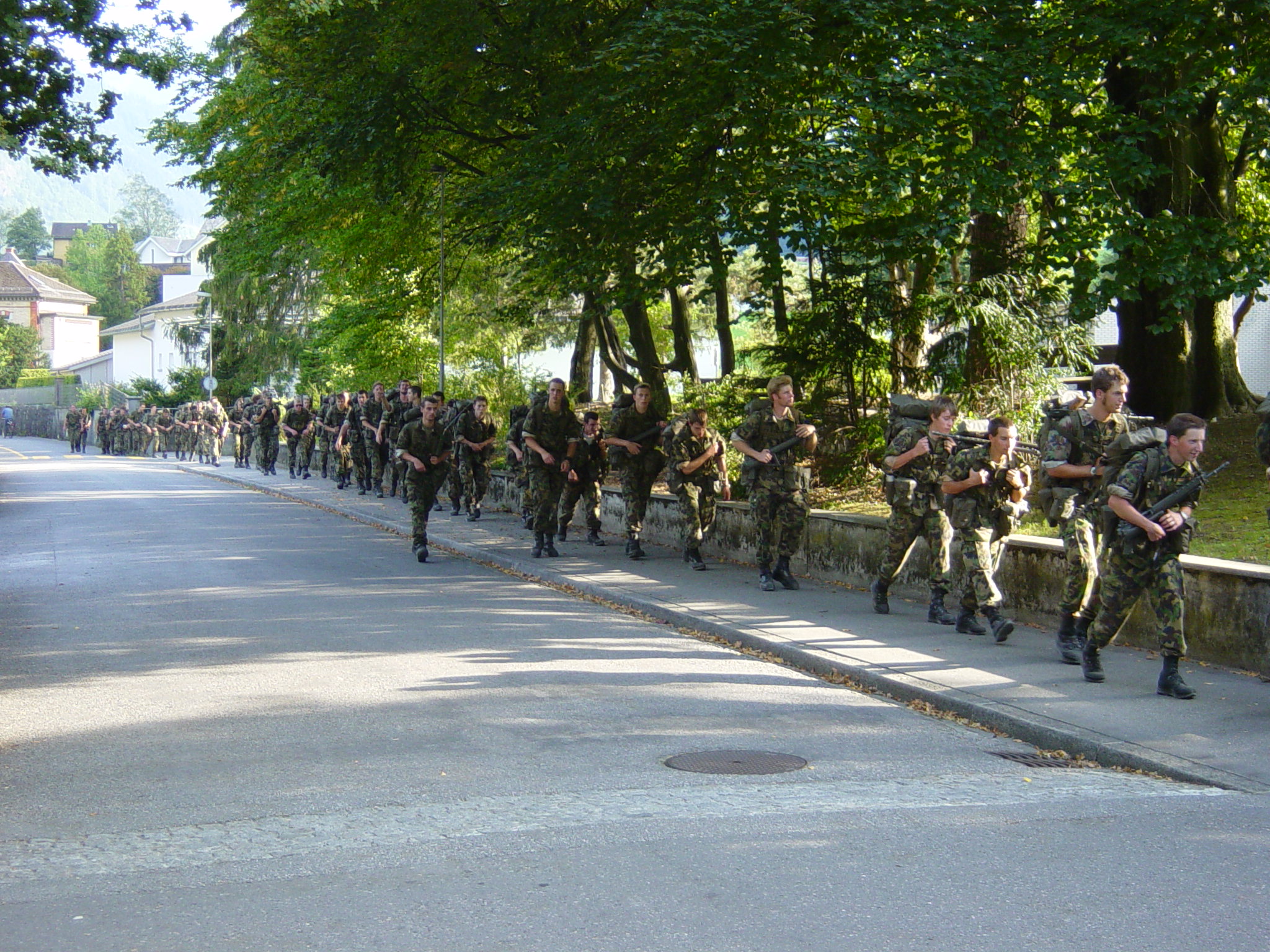 Image of swiss army troops