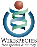 Wikispeciesin logo