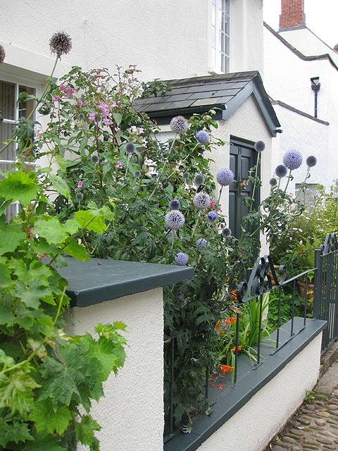 front garden ideas uk Small Front Garden | 480 x 640