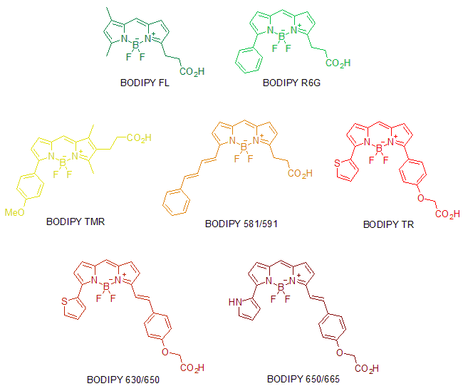 Bodipy-fluorofores.png