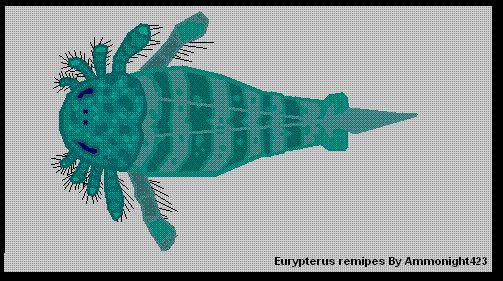 Eurypterusremipes2.gif