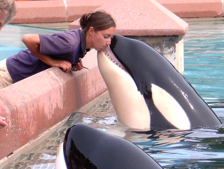 Girl humping inflatable whale