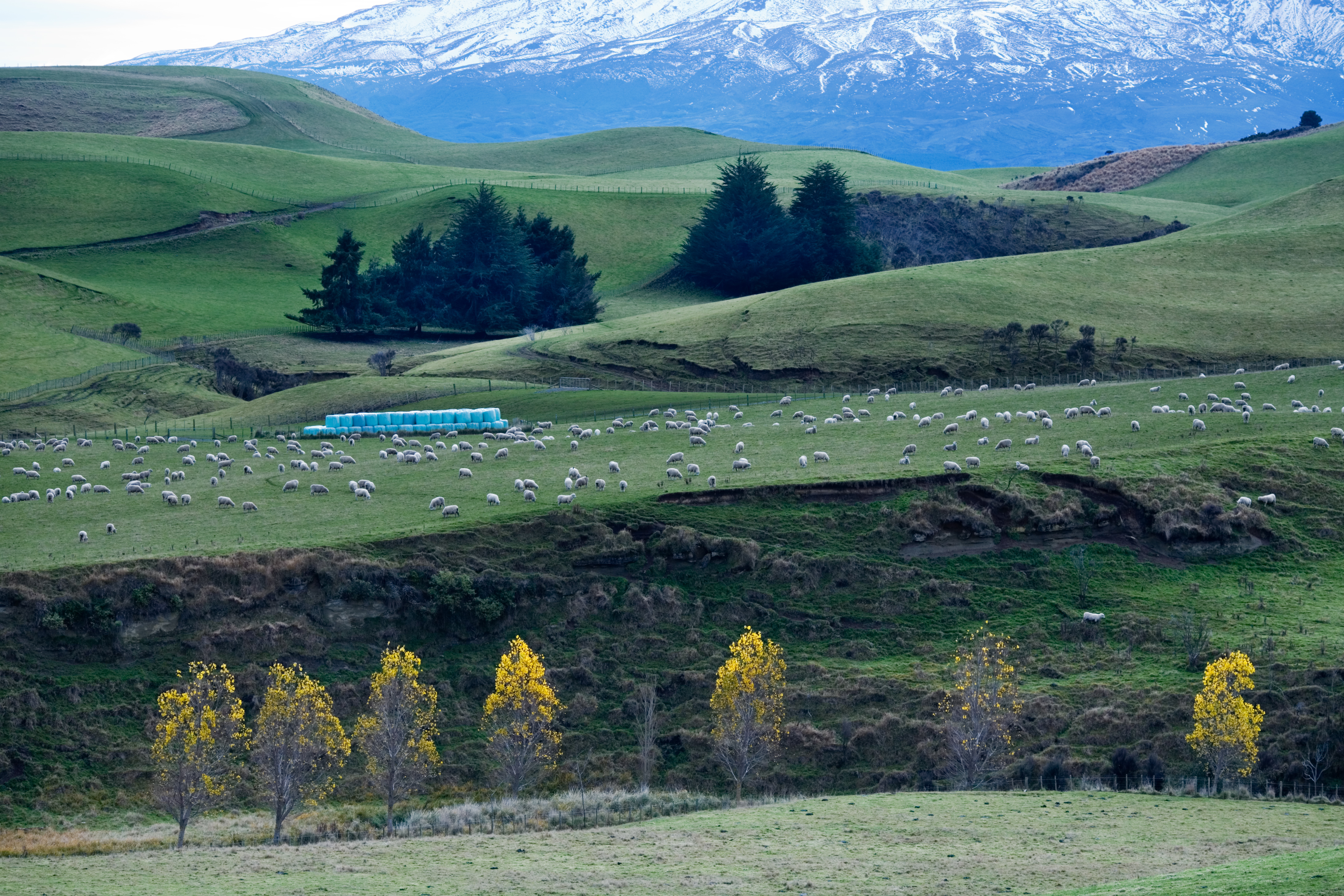 File:New Zealand - Landscape - 8674.jpg - Wikimedia Commons