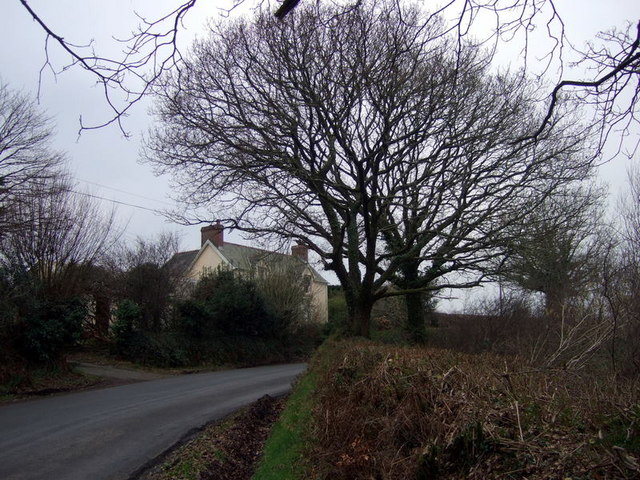 Cuckold_-_geograph.org.uk_-_691759.jpg