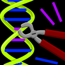 http://upload.wikimedia.org/wikipedia/commons/b/b9/Genetic_Manipulation.png