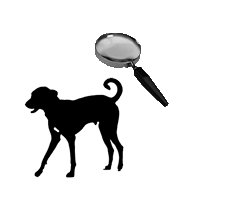 Ficheiro:Missing dog photo.png