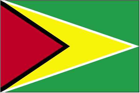 Flag of Guyana (WFB 2004)